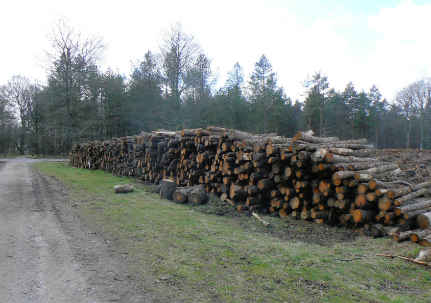 Stand Wood Stand Wood